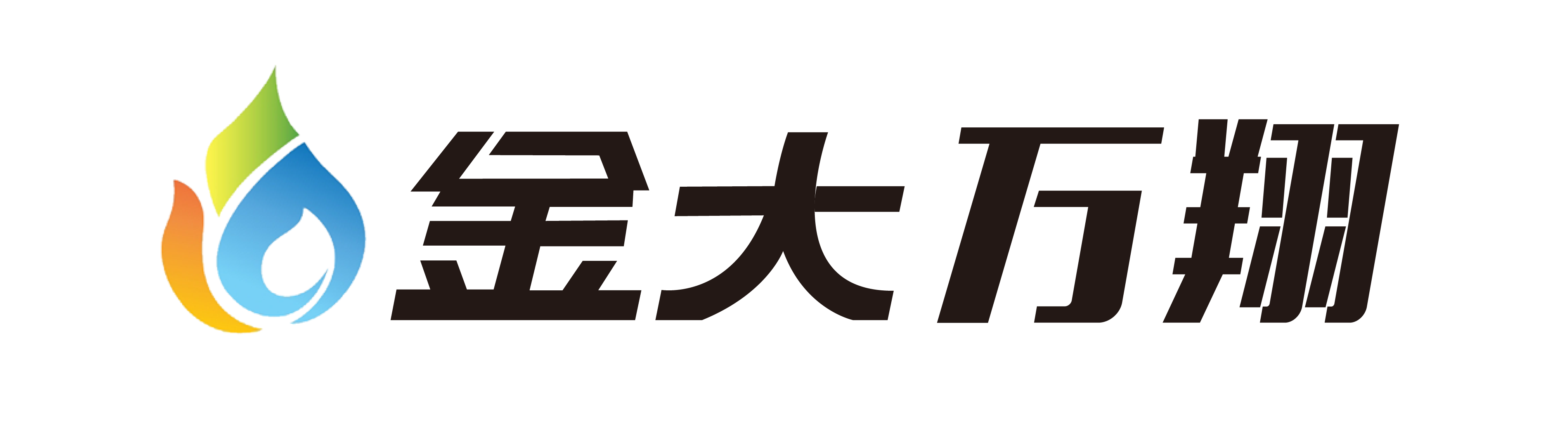 金大万翔官网